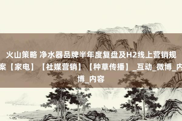 火山策略 净水器品牌半年度复盘及H2线上营销规划案【家电】【社媒营销】【种草传播】_互动_微博_内容
