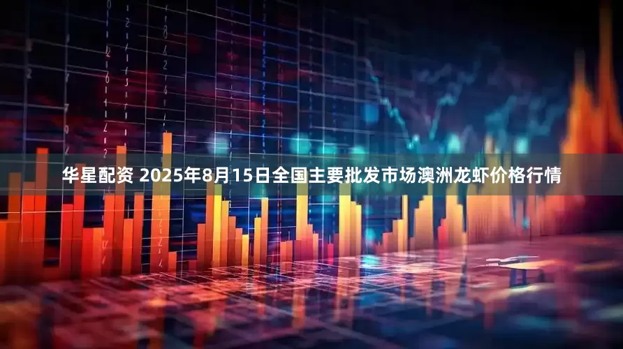 华星配资 2025年8月15日全国主要批发市场澳洲龙虾价格行情