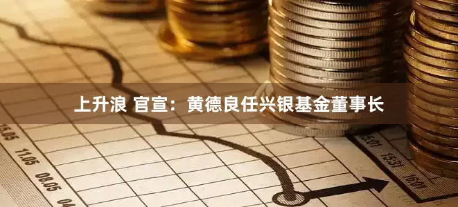 上升浪 官宣：黄德良任兴银基金董事长