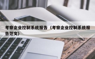 考察企業控制系統報告（考察企業控制系統報告范文）