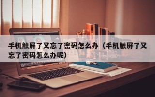 手機觸屏了又忘了密碼怎么辦（手機觸屏了又忘了密碼怎么辦呢）