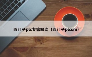 西門子plc專家解讀（西門子plcsm）