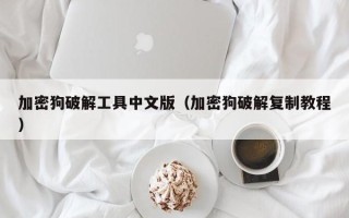 加密狗破解工具中文版（加密狗破解復制教程）