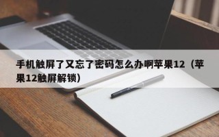 手機觸屏了又忘了密碼怎么辦啊蘋果12（蘋果12觸屏解鎖）