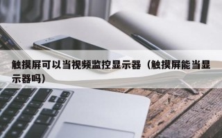 觸摸屏可以當視頻監控顯示器（觸摸屏能當顯示器嗎）