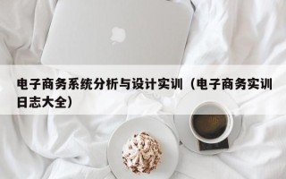 電子商務系統分析與設計實訓（電子商務實訓日志大全）