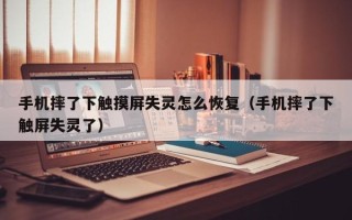 手機摔了下觸摸屏失靈怎么恢復（手機摔了下觸屏失靈了）