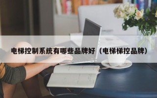 電梯控制系統有哪些品牌好（電梯梯控品牌）