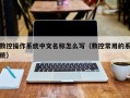 數控操作系統中文名稱怎么寫（數控常用的系統）