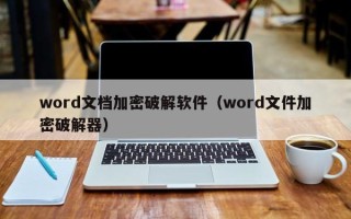 word文檔加密破解軟件（word文件加密破解器）