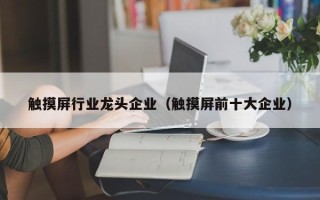 觸摸屏行業龍頭企業（觸摸屏前十大企業）