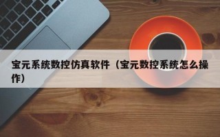 寶元系統數控仿真軟件（寶元數控系統怎么操作）