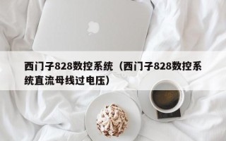 西門子828數控系統（西門子828數控系統直流母線過電壓）